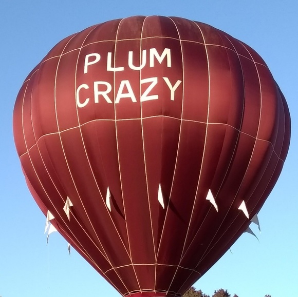 Meet your Posher, Jennifer - Picture 2 of 3